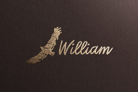 Download 6 Eagle Logotypes - Premium Resources