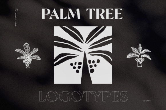 Download Hand-Drawn Palm Tree Logotypes - Premium Resources